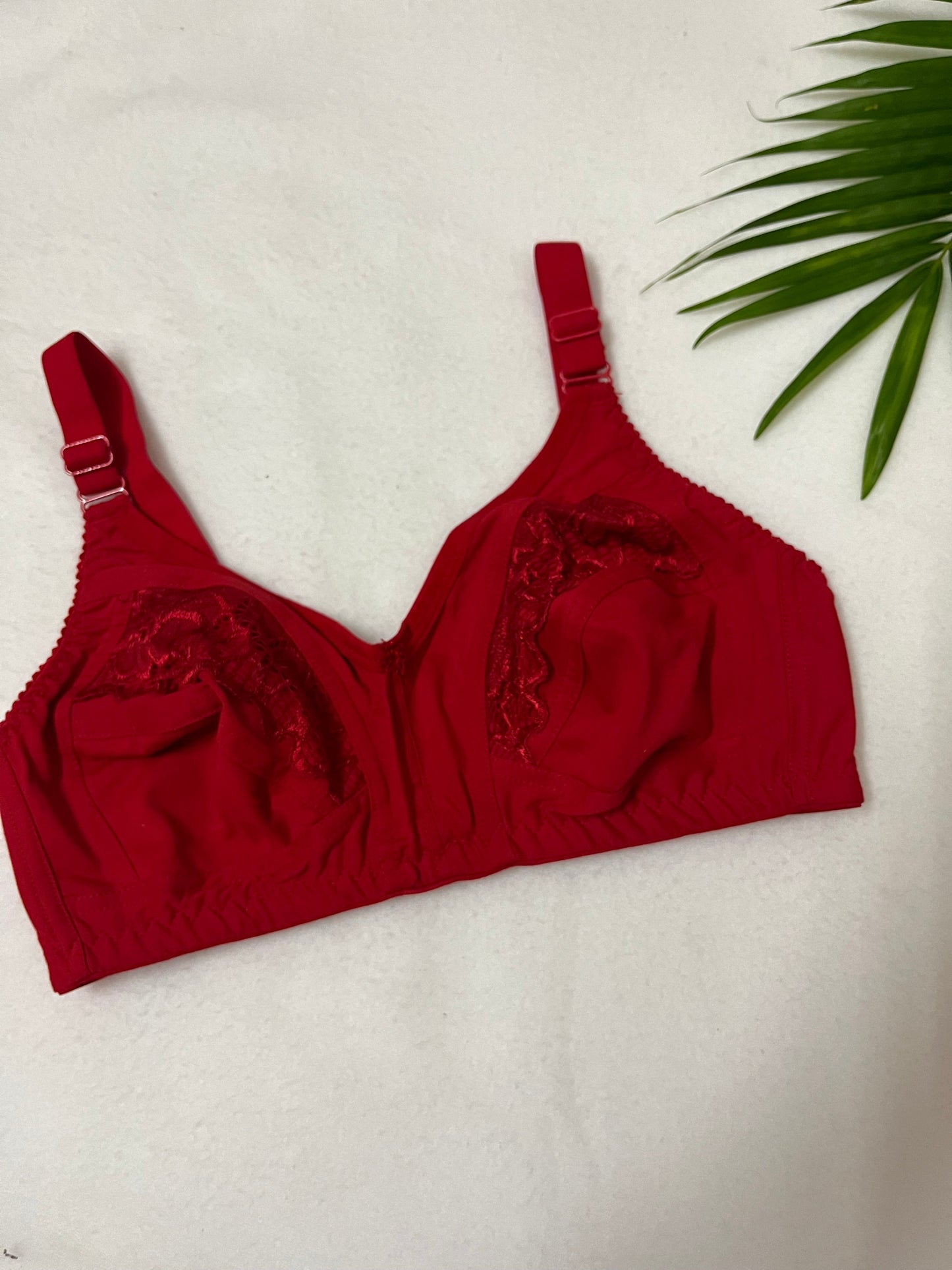 Embroidery Type Bra