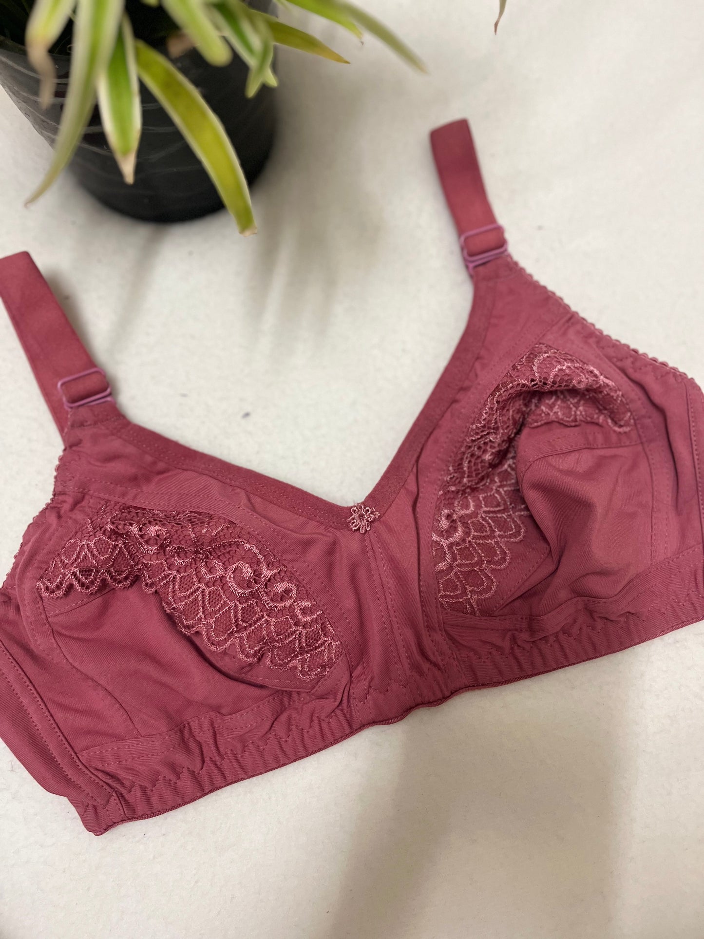 Embroidery Type Bra
