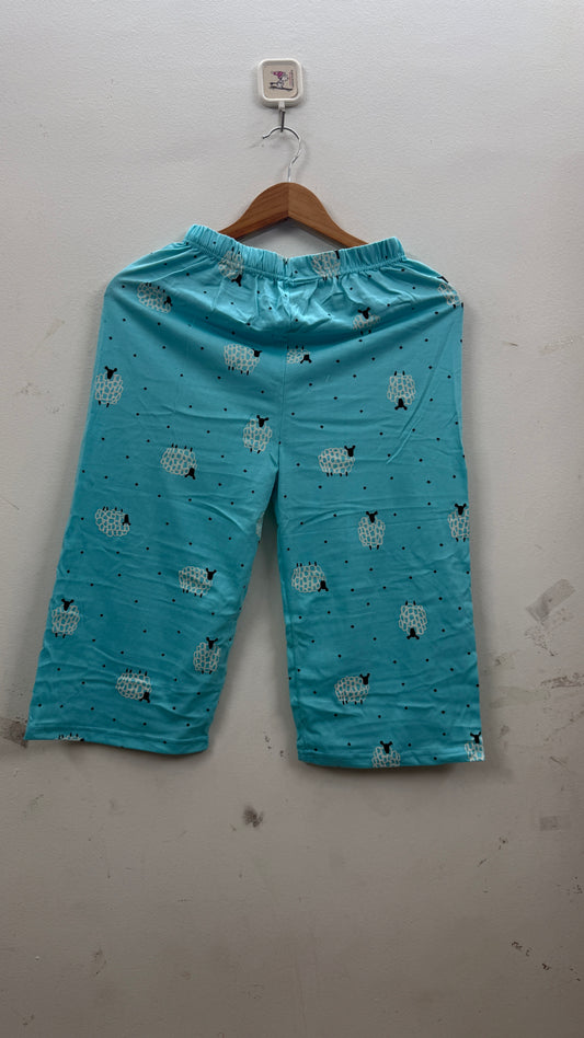 3/4 th pant L